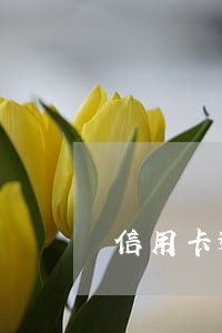 信用卡逾期还能打工吗 信用卡逾期还能打工吗