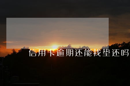 信用卡逾期还能找垫还吗 信用卡逾期还能找垫还吗