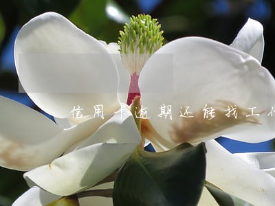 信用卡逾期还能找工作