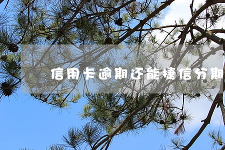 信用卡逾期还能捷信分期吗