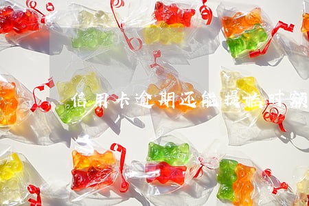 信用卡逾期还能提临时额度吗