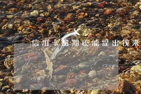 信用卡逾期还能提出钱来吗