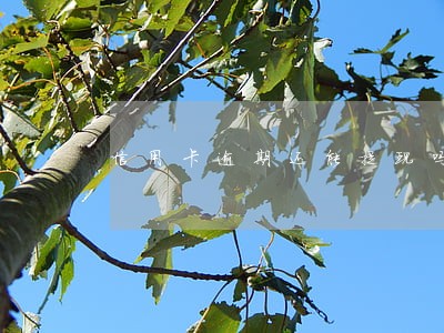 信用卡逾期还能提现吗 信用卡逾期还能提现吗