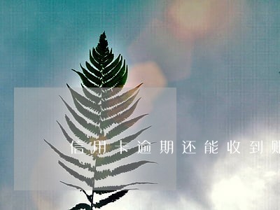 信用卡逾期还能收到账单 信用卡逾期还能收到账单