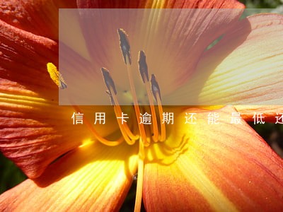 信用卡逾期还能最低还款不 信用卡逾期还能最低还款不