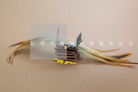 信用卡逾期还能最低还款额吗 信用卡逾期还能最低还款额吗