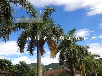信用卡逾期还能杠杆炒股吗