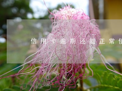 信用卡逾期还能正常使用 信用卡逾期还能正常使用