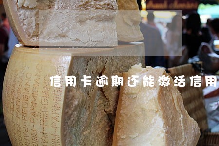 信用卡逾期还能激活信用卡吗 信用卡逾期还能激活信用卡吗