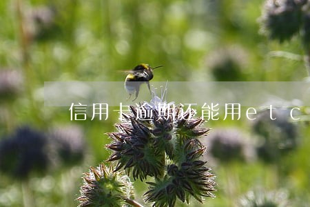 信用卡逾期还能用etc吗 信用卡逾期还能用etc吗