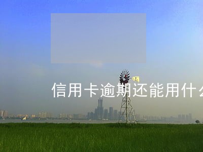 信用卡逾期还能用什么借款 信用卡逾期还能用什么借款