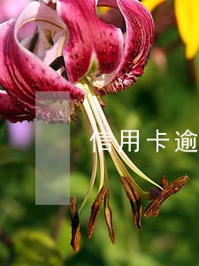 信用卡逾期还能用借呗
