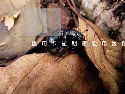 信用卡逾期还能用医保 信用卡逾期还能用医保