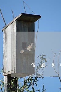 信用卡逾期还能用卡吗 信用卡逾期还能用卡吗