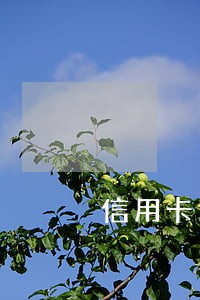 信用卡逾期还能用积分兑换吗 信用卡逾期还能用积分兑换吗