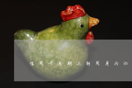 信用卡逾期还能用身份证吗 信用卡逾期还能用身份证吗
