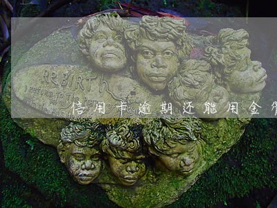 信用卡逾期还能用金管家吗 信用卡逾期还能用金管家吗