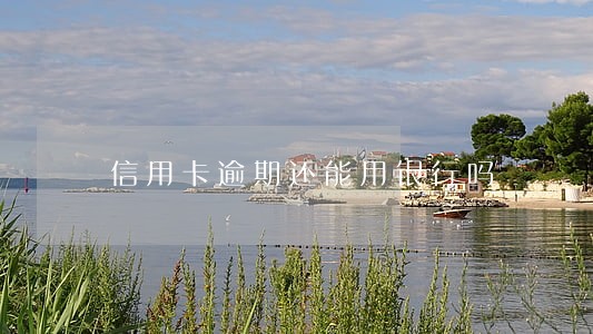 信用卡逾期还能用银行吗 信用卡逾期还能用银行吗