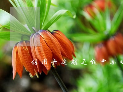 信用卡逾期还能申办吗