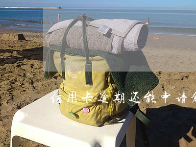 信用卡逾期还能申请创业补贴吗 信用卡逾期还能申请创业补贴吗