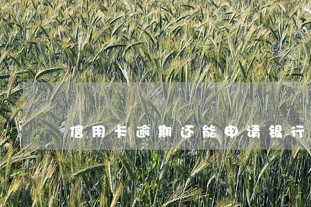 信用卡逾期还能申请银行贷款吗 信用卡逾期还能申请银行贷款吗