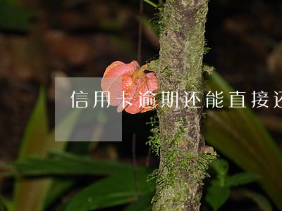 信用卡逾期还能直接还进去吗 信用卡逾期还能直接还进去吗