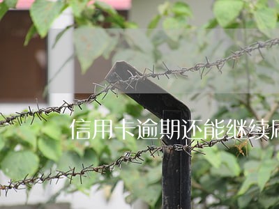 信用卡逾期还能继续刷吗 信用卡逾期还能继续刷吗