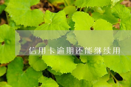 信用卡逾期还能继续用 信用卡逾期还能继续用