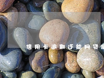信用卡逾期还能网贷借钱 信用卡逾期还能网贷借钱