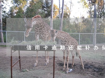 信用卡逾期还能补办储蓄卡吗 信用卡逾期还能补办储蓄卡吗