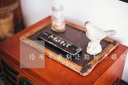 信用卡逾期还能补办银行卡吗
