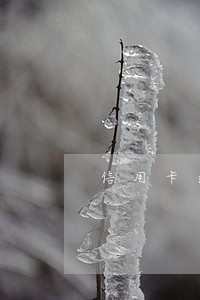 信用卡逾期还能解封吗 信用卡逾期还能解封吗