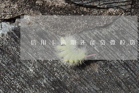 信用卡逾期还能贷微粒贷贷款呢 信用卡逾期还能贷微粒贷贷款呢