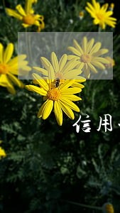 信用卡逾期还能贷款app 信用卡逾期还能贷款app