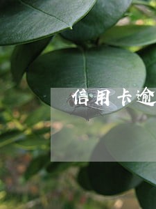 信用卡逾期还能贷款买房 信用卡逾期还能贷款买房