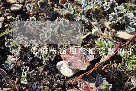 信用卡逾期还能贷款的平台