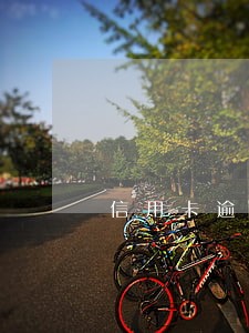 信用卡逾期还能贷的网贷 信用卡逾期还能贷的网贷