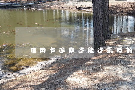信用卡逾期还能还最低额度么 信用卡逾期还能还最低额度么