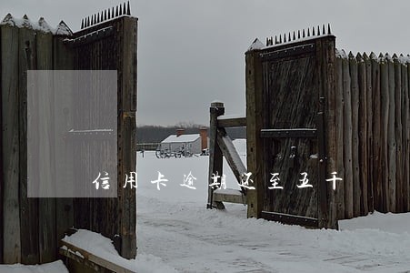 信用卡逾期还至五千