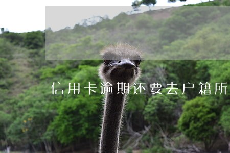 信用卡逾期还要去户籍所在地 信用卡逾期还要去户籍所在地