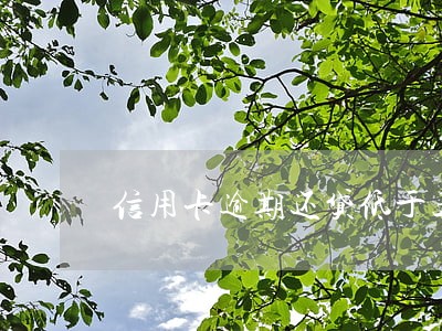信用卡逾期还贷低于五万 信用卡逾期还贷低于五万