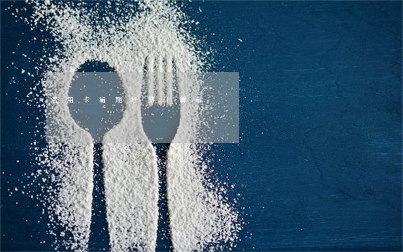 信用卡逾期还贷计算机 信用卡逾期还贷计算机