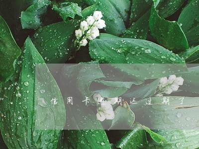 信用卡逾期还过期了 信用卡逾期还过期了