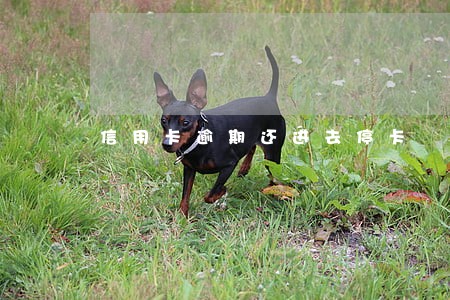 信用卡逾期还进去停卡