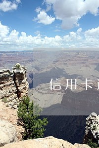 信用卡逾期还进去充利息吗 信用卡逾期还进去充利息吗