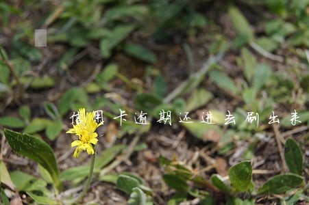 信用卡逾期还进去刷出来 信用卡逾期还进去刷出来