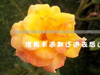 信用卡逾期还进去后还有额度吗 信用卡逾期还进去后还有额度吗