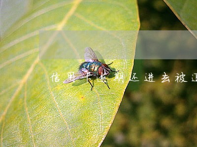 信用卡逾期还进去被退回 信用卡逾期还进去被退回