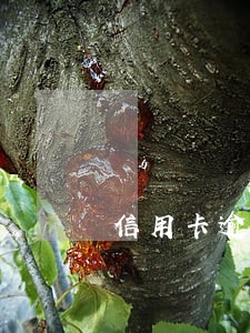 信用卡逾期还进去还有额度吗 信用卡逾期还进去还有额度吗