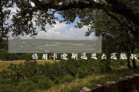 信用卡逾期还进去还能取吗
